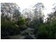 335 Smiths Gully Road, Pipers River TAS 7252