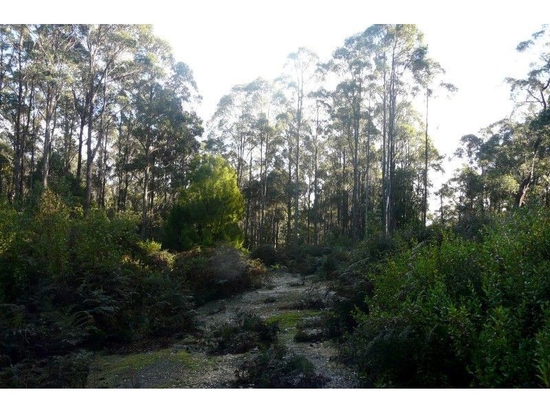 335 Smiths Gully Road, Pipers River TAS 7252