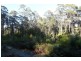 335 Smiths Gully Road, Pipers River TAS 7252