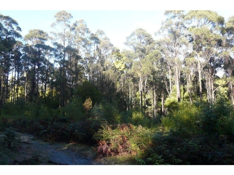 335 Smiths Gully Road, Pipers River TAS 7252
