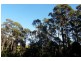 335 Smiths Gully Road, Pipers River TAS 7252