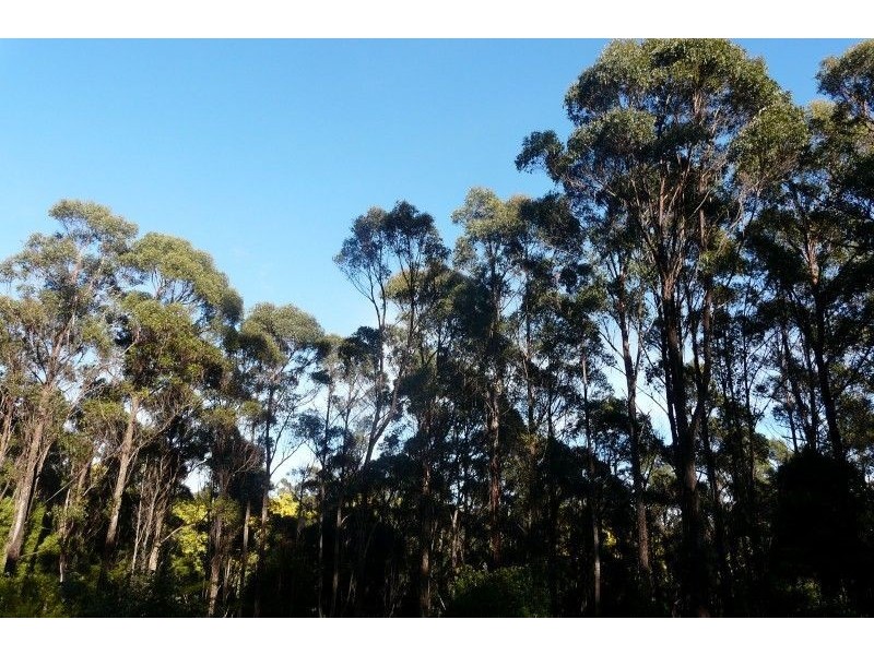 335 Smiths Gully Road, Pipers River TAS 7252