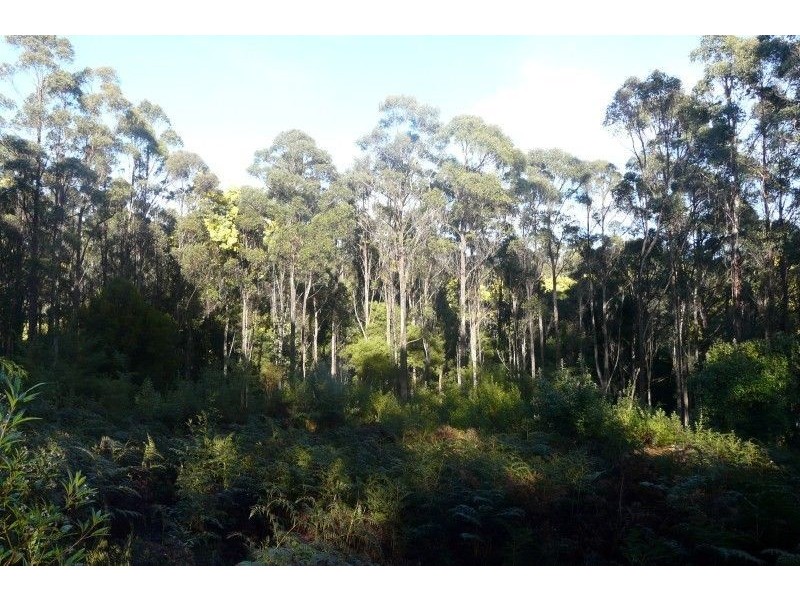 335 Smiths Gully Road, Pipers River TAS 7252