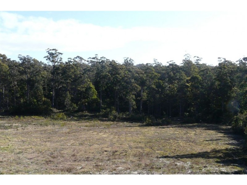 90 Troopers Track, Pipers River TAS 7252