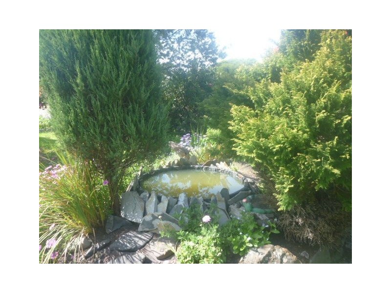 11 Adams Street, George Town TAS 7253