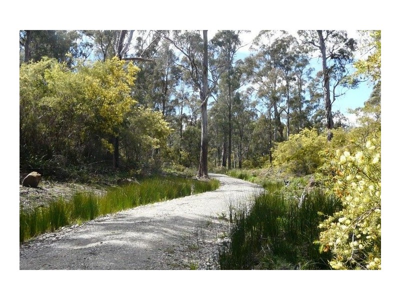 1907 East Tamar Highway, Dilston TAS 7252