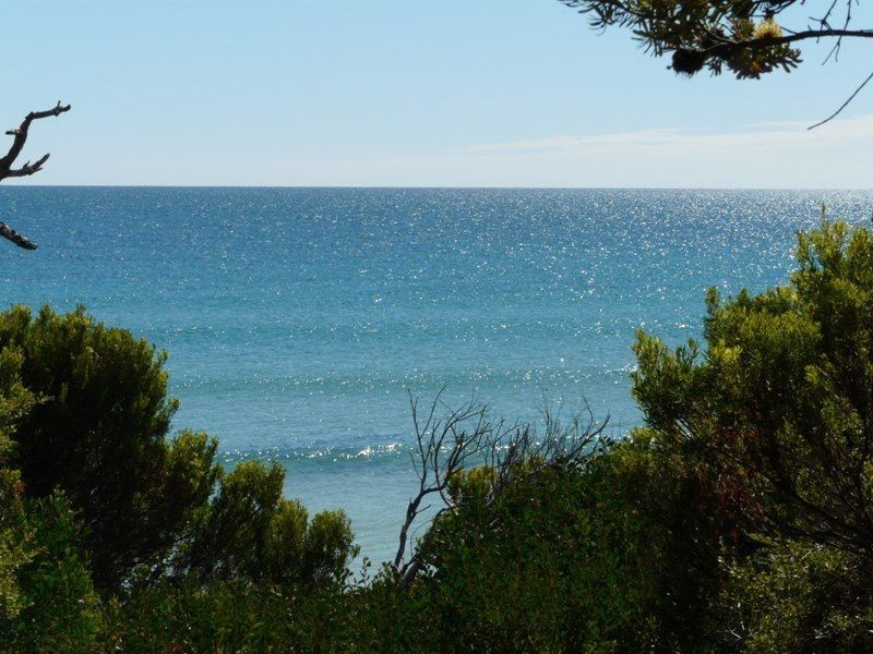 135 Bell Buoy Beach Road, Low Head TAS 7253