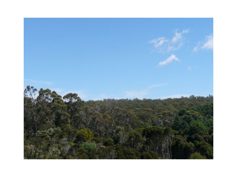 21 Richards Street, Lefroy TAS 7252