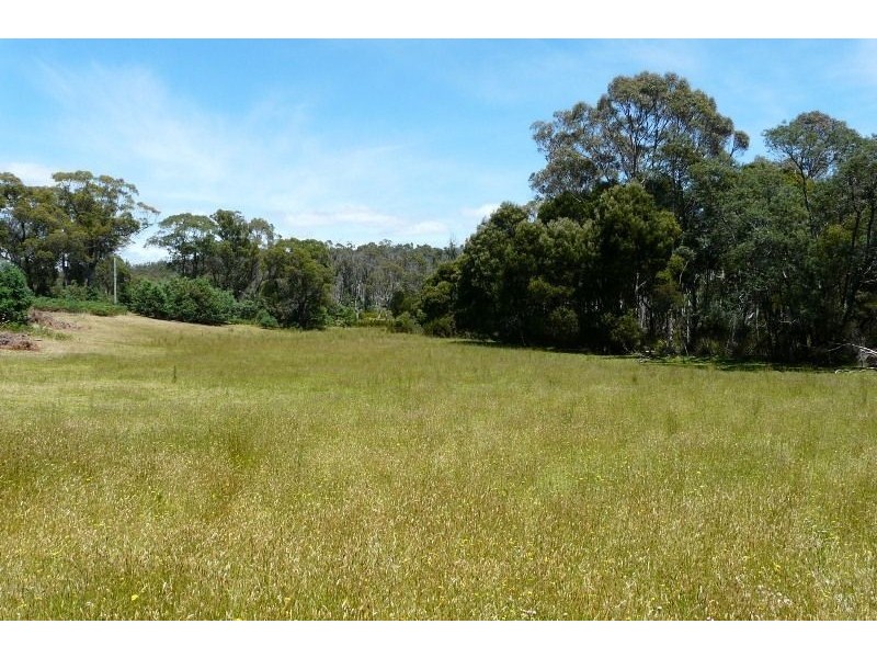 1 Youngs Road, Mount Direction TAS 7252