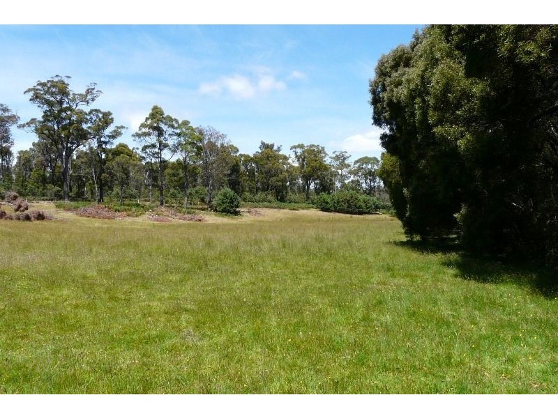 1 Youngs Road, Mount Direction TAS 7252