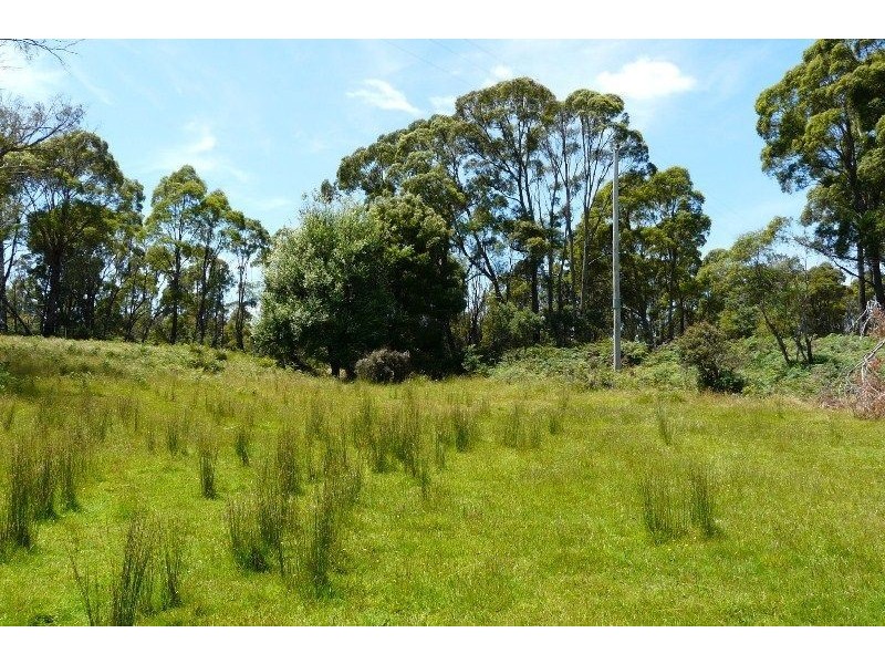 1 Youngs Road, Mount Direction TAS 7252