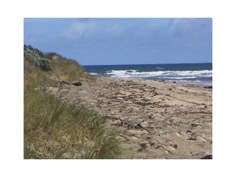 35 Davis Street, Beechford TAS 7252