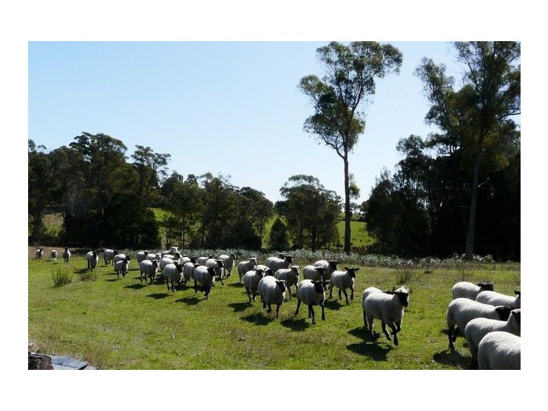 39 Lefroy Road, Lefroy TAS 7252