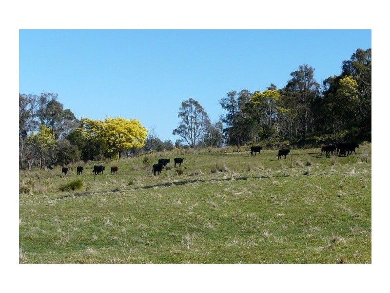 34 Youngs Road, Mount Direction TAS 7252