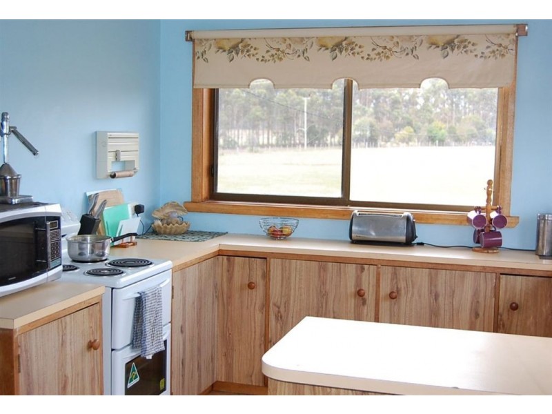 291 Back Creek Road, Pipers River TAS 7252