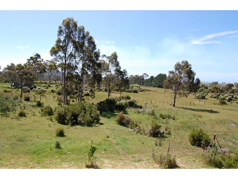 291 Back Creek Road, Pipers River TAS 7252