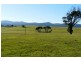 Lot 2/450 Los Angelos Road, Swan Bay TAS 7252