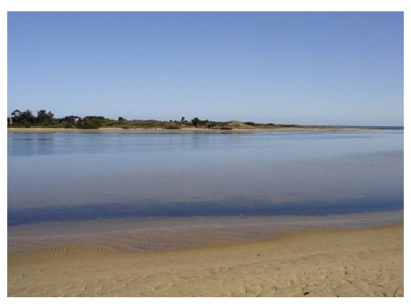 14-16 Clifford Street, Bellingham TAS 7254