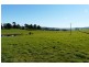 Lot 7/450 Los Angelos Road, Swan Bay TAS 7252