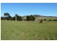 Lot 7/450 Los Angelos Road, Swan Bay TAS 7252