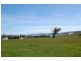 450 Los Angelos Road, Swan Bay TAS 7252