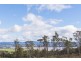 2043 Windermere Road, Swan Bay TAS 7252