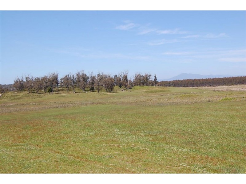 1436 Dalrymple Road, Mount Direction TAS 7252
