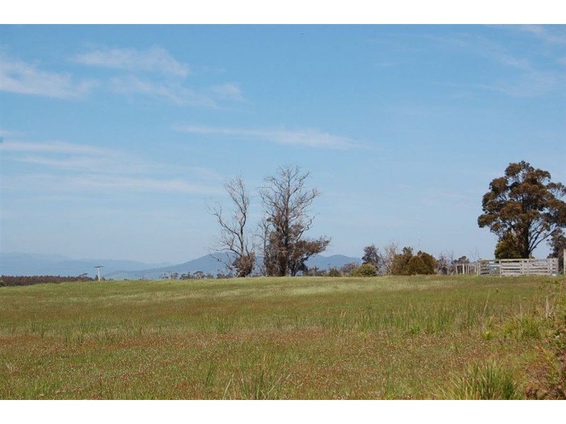 1436 Dalrymple Road, Mount Direction TAS 7252
