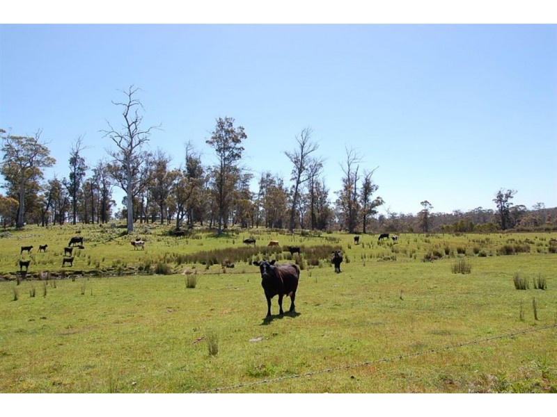 1436 Dalrymple Road, Mount Direction TAS 7252