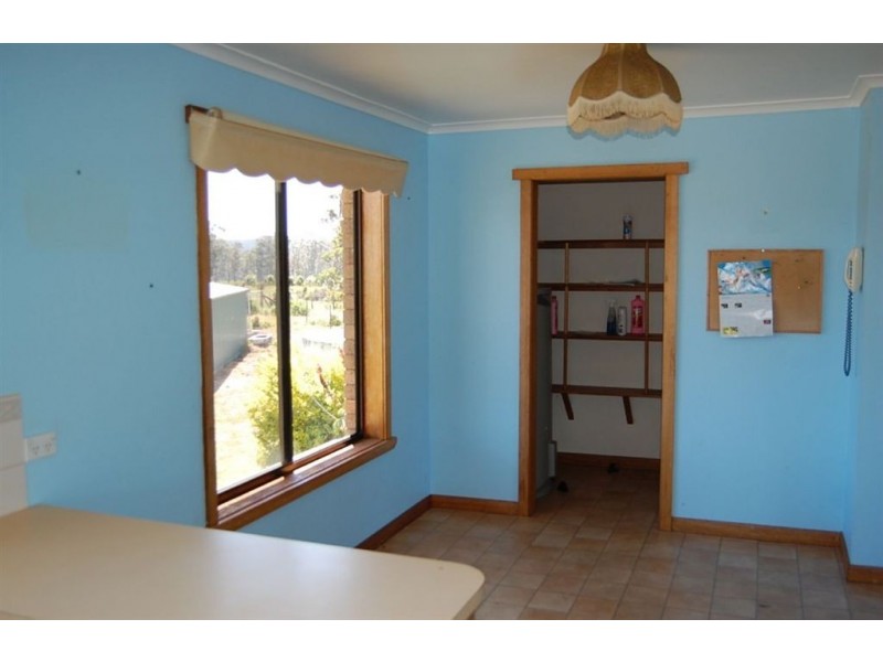 291 Back Creek Road, Pipers River TAS 7252