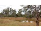 291 Back Creek Road, Pipers River TAS 7252