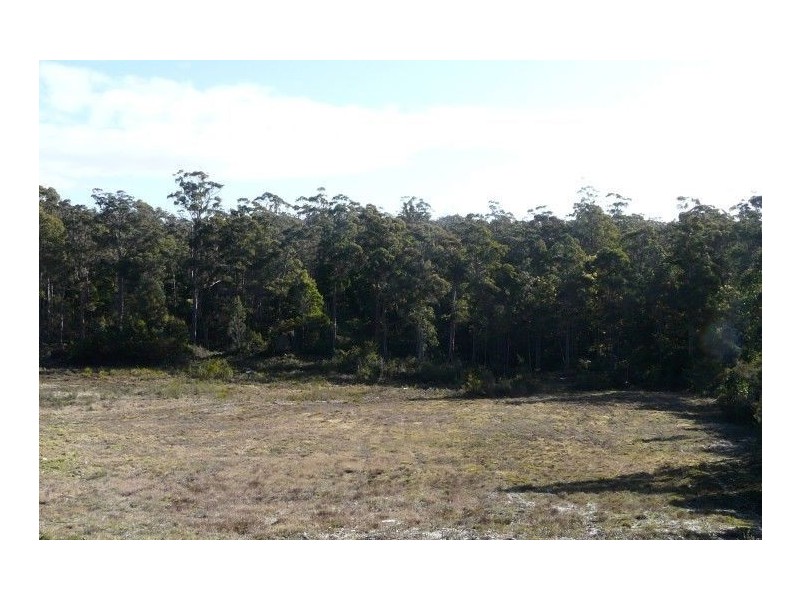 90 Troopers Track, Pipers River TAS 7252