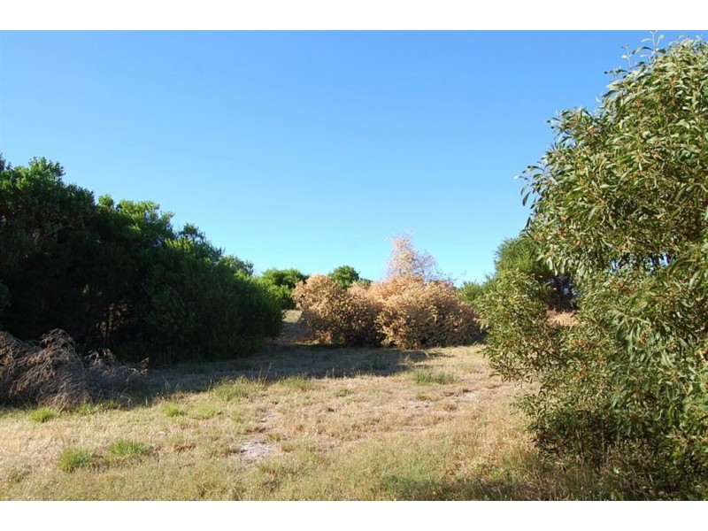 Lot 25 Lord Liverpool Drive, Low Head TAS 7253