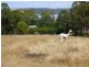 202 Windermere Road, Windermere TAS 7252