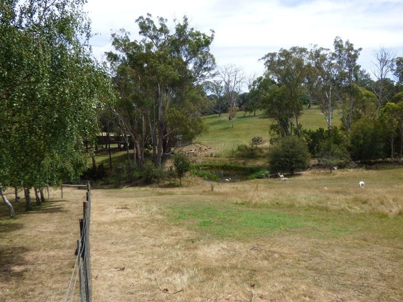 202 Windermere Road, Windermere TAS 7252