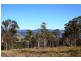 1199 Windermere Road, Swan Bay TAS 7252