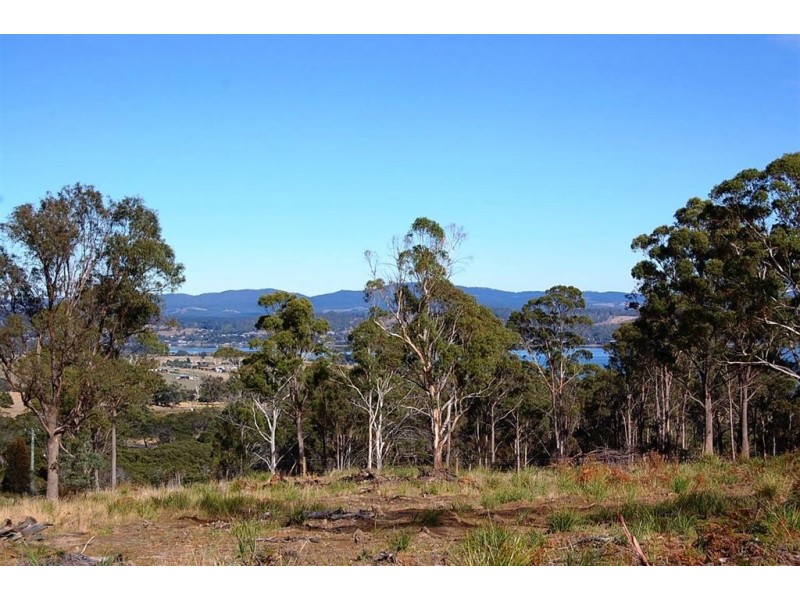 1199 Windermere Road, Swan Bay TAS 7252