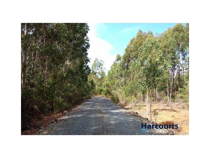 726 Austins Road, Turners Marsh TAS 7267