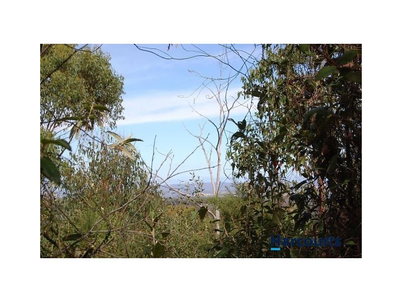 726 Austins Road, Turners Marsh TAS 7267