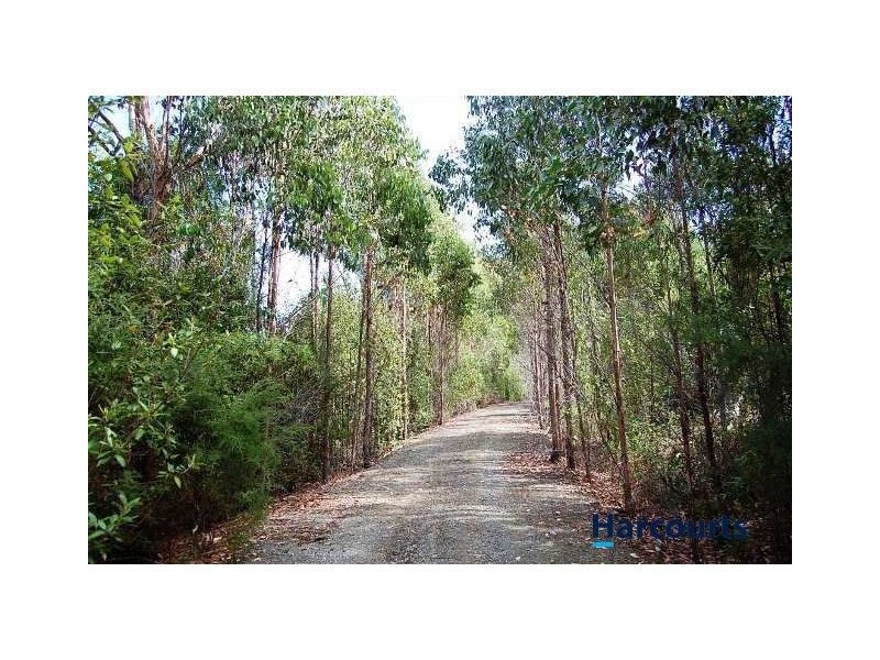 726 Austins Road, Turners Marsh TAS 7267