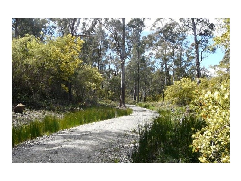 1907 East Tamar Highway, Dilston TAS 7252