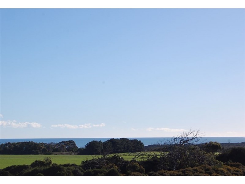 825 Beechford Road, Beechford TAS 7252