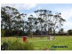 37 White Street, George Town TAS 7253