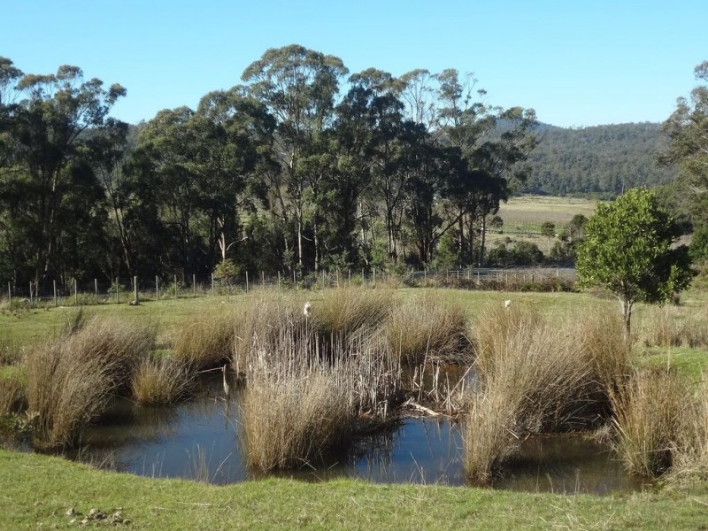 59 Johnstons Road, Hillwood TAS 7252