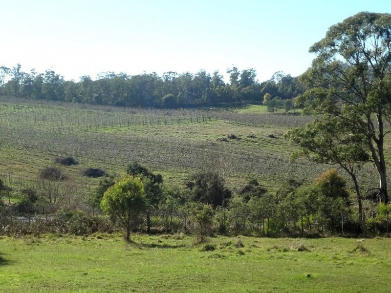 59 Johnstons Road, Hillwood TAS 7252