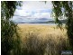 337 Windermere Road, Windermere TAS 7252