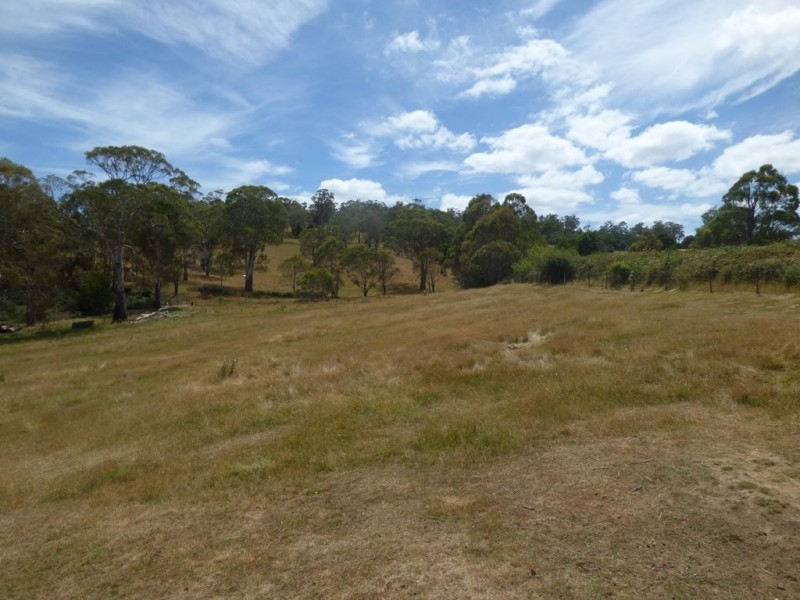 202 Windermere Road, Windermere TAS 7252