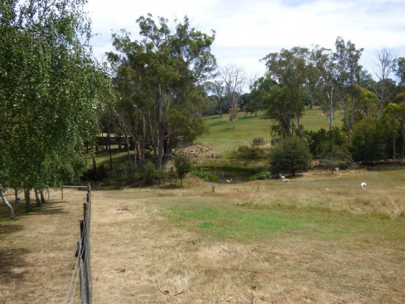 202 Windermere Road, Windermere TAS 7252