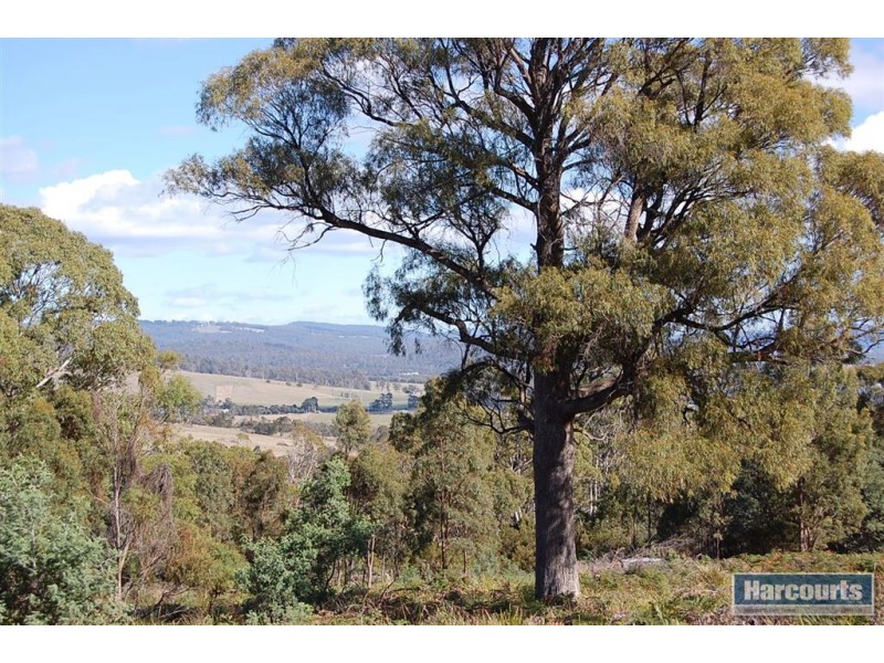 1207 Windermere Road, Swan Bay TAS 7252