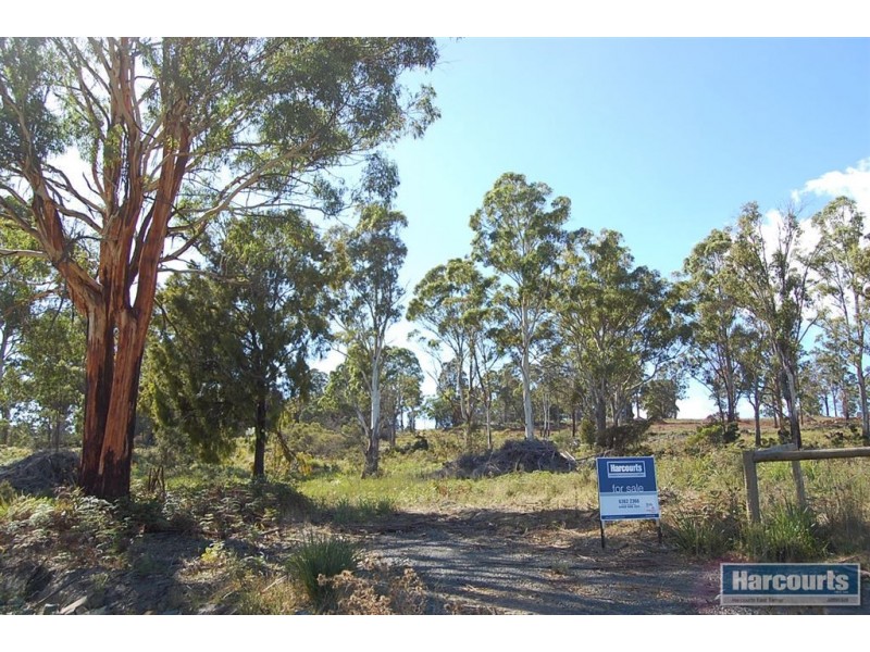 1207 Windermere Road, Swan Bay TAS 7252